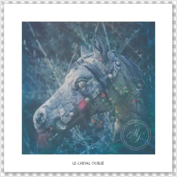 Le Chevall Oublie Post - Burro