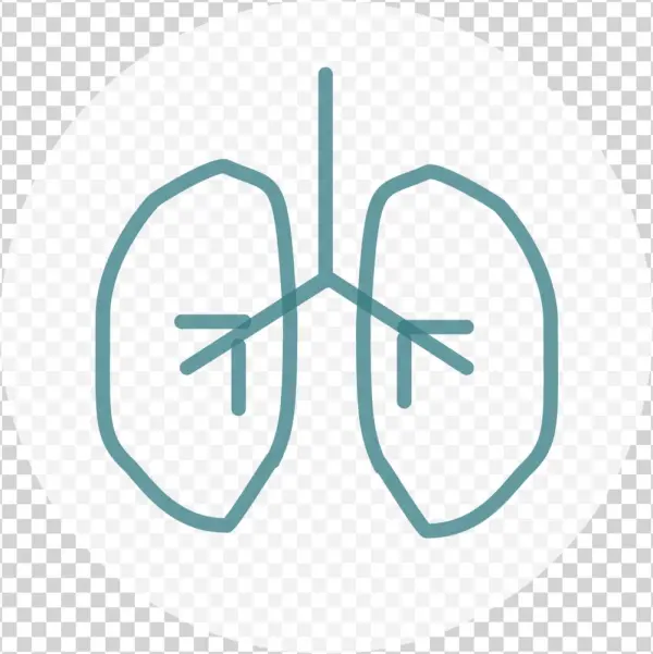 Lung Tealonwhite - El Paso Pulmonary Association