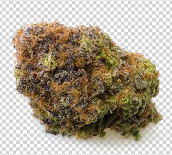 Medreleaf Rex Strain