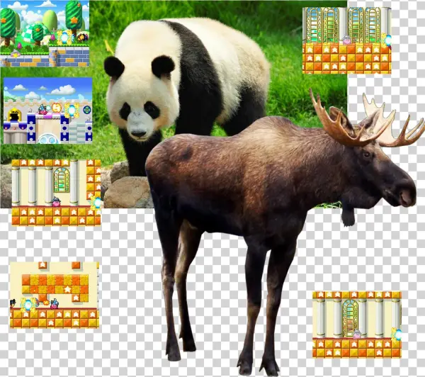 Moose, Giant Panda, Animals Get Reincarnation By Prayers