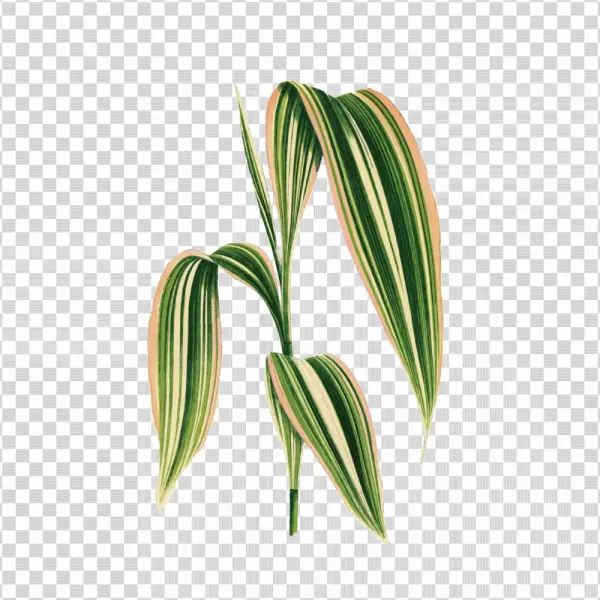 Palm-001 - Cornstalk Dracaena Leaf Art - Scrabble Tile Pendant