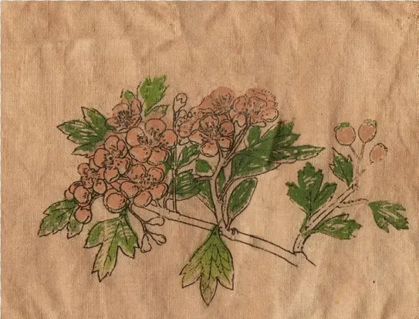 Patch-four - Swamp Maple