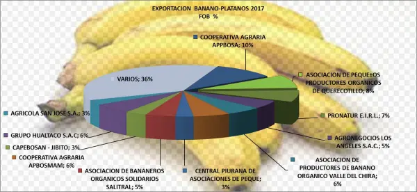 Plátano Banano Perú Exportación 2017 Marzo - Banano Criollo En Guatemala