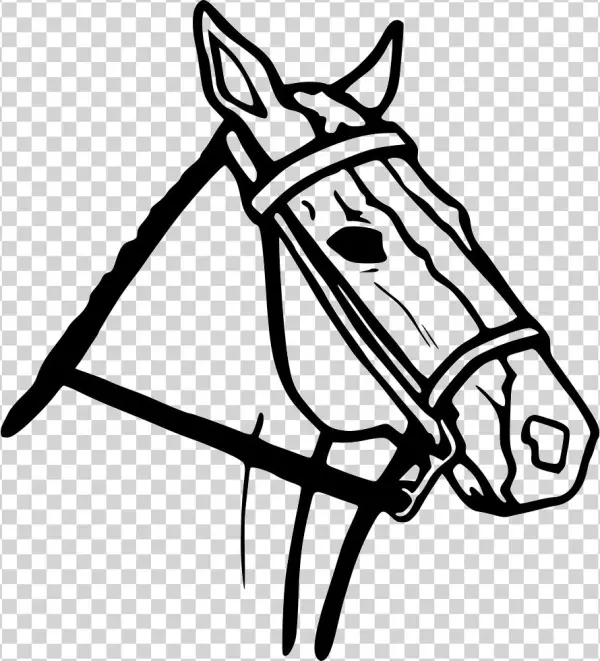 Png File Svg - T-shirt