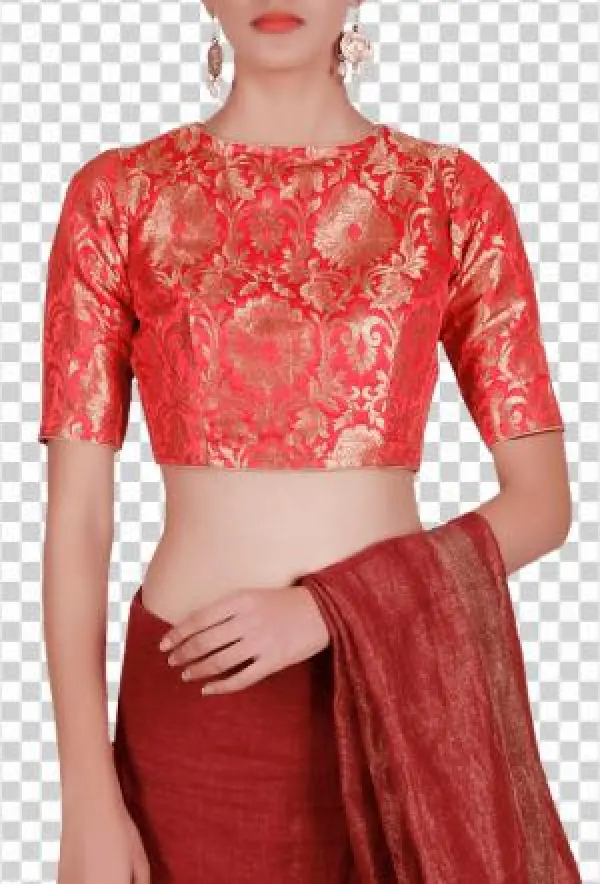 Red Pure Banarasi Brocade Blouse - Photo Shoot