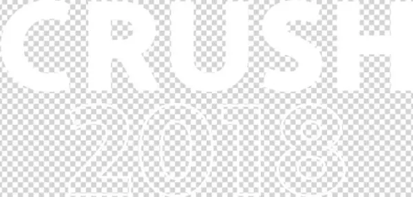 Wakefield Research Report - Graphics