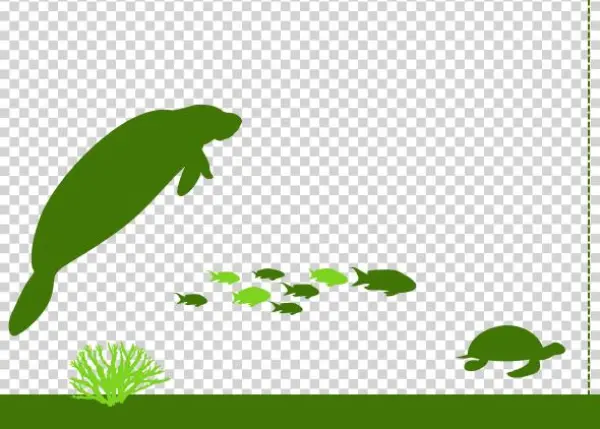 Water Water - Illustration