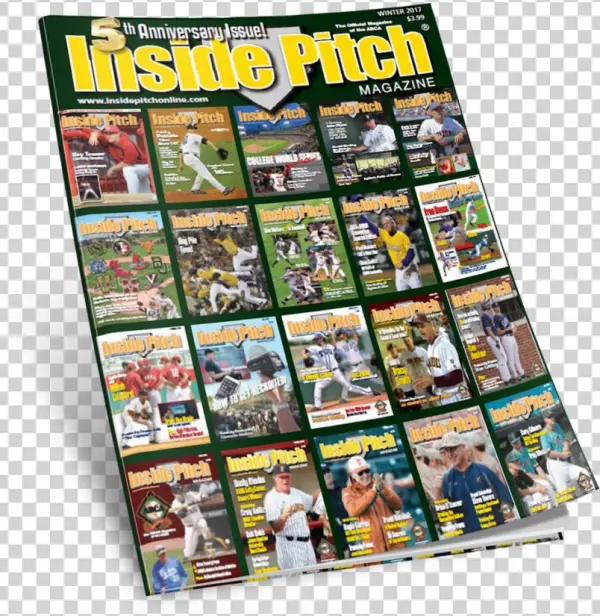 Winter 2017 Recap - Flyer