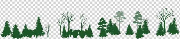 Www - Fws - Gov/chesapeakebay - White Pine