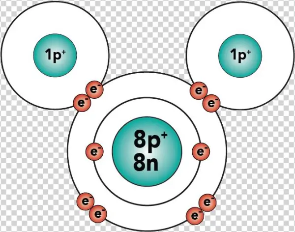 04a Water Orbital - Water