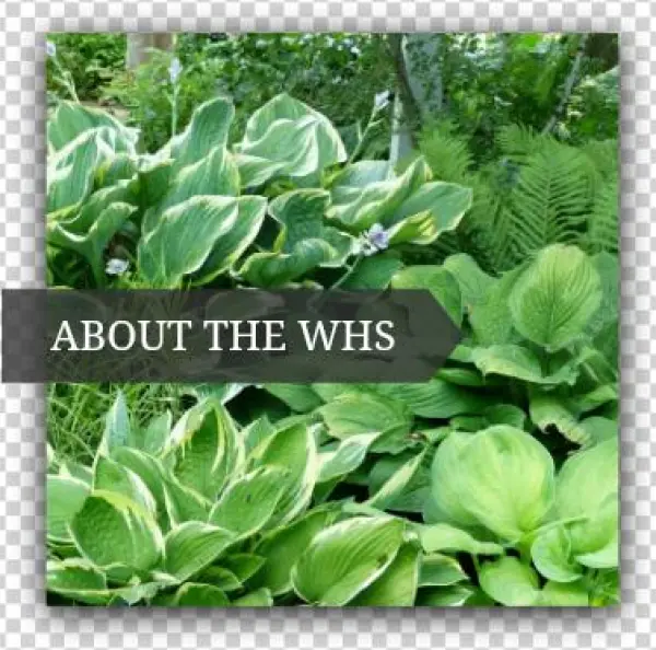 About Us - Wisconsin