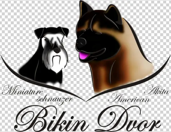 Add A Dog - Return Of Beyonc - Van Vicker, Nadia Buari - African