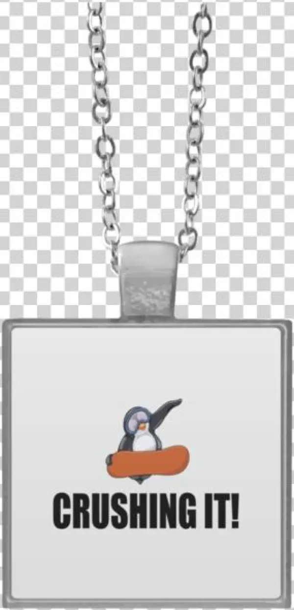 Demexit Bernie Supporter Never Hillary T-shirt