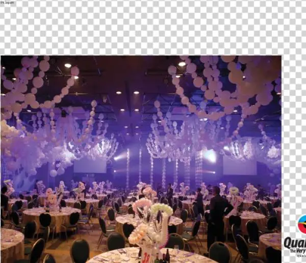 Elegant Balloon Chandeliers - Chandelier