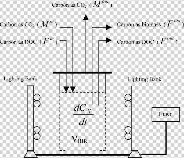 Experimental Setup For Continuous Cultivation Of Marine - Diagram