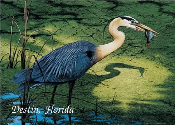 Henry The Great Blue Heron - Great Blue Heron
