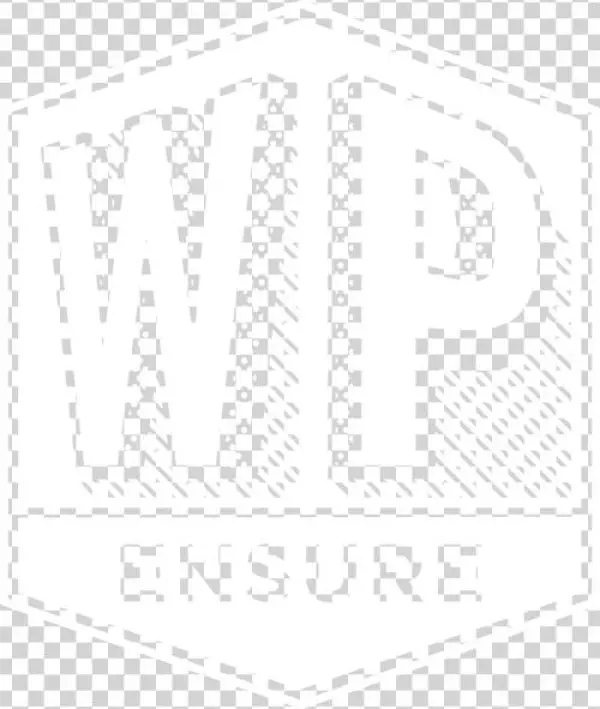 Insurance Against Hackers - Aesch