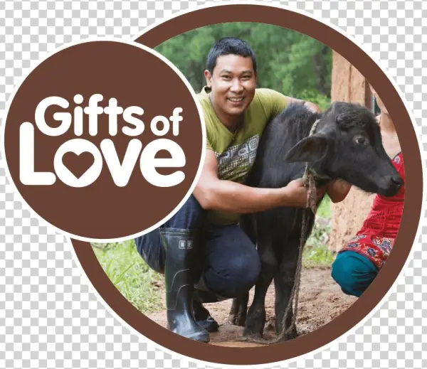 Kit Blog - Working Animal