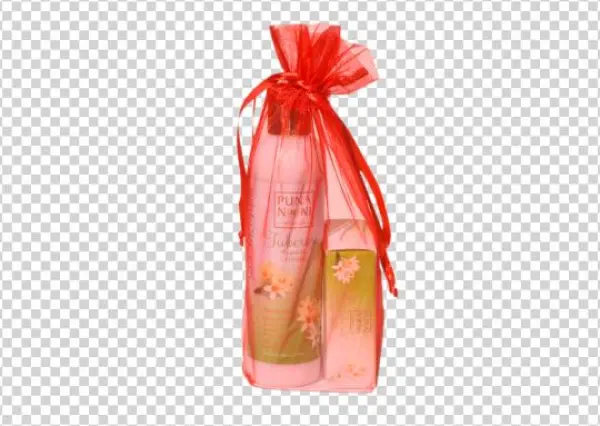 Lotion And Soap Gift Bag - Gift Wrapping