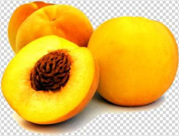 Peach - Clingstone Peach