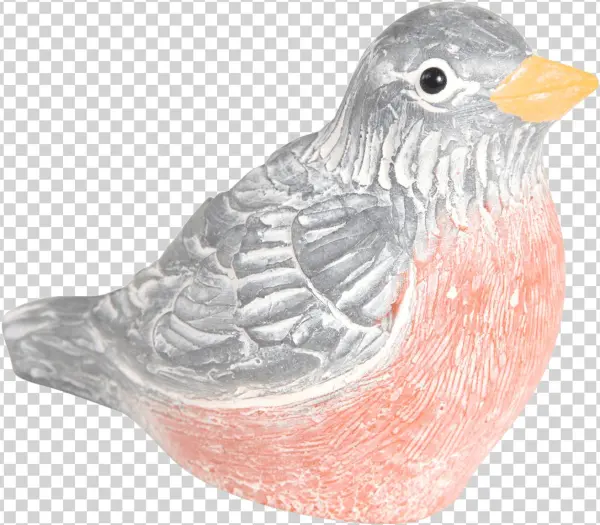 Robin - European Robin