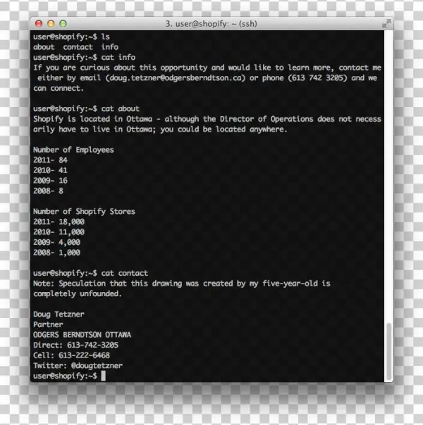 Shopify Director Of Operations Shell - Pioneer Kuro