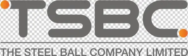 The Steelball Company Logo - Parallel