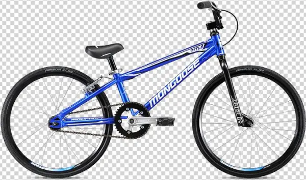 Title Junior Zoom Image - Haro Race Lite