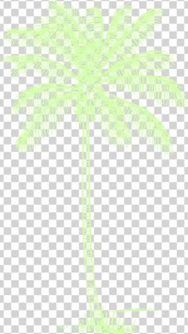 Tropisches Ombre Sonnenuntergang Der Duschvorhang