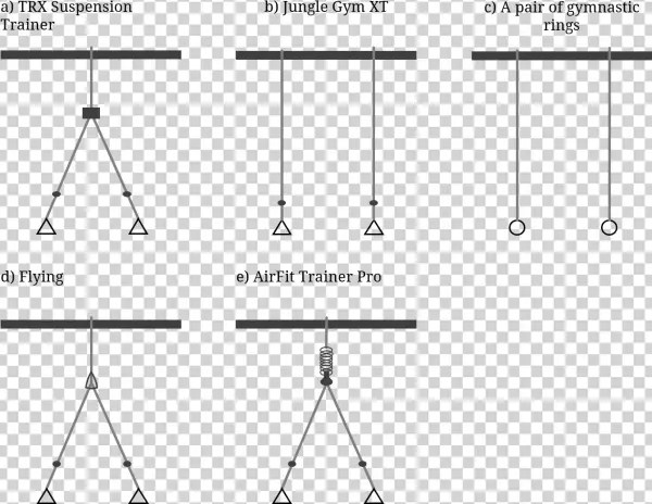 Bodyweight Training, Calisthenics & Gymnastics Equipment[edit] - Jungle Gym Suspension Trainer