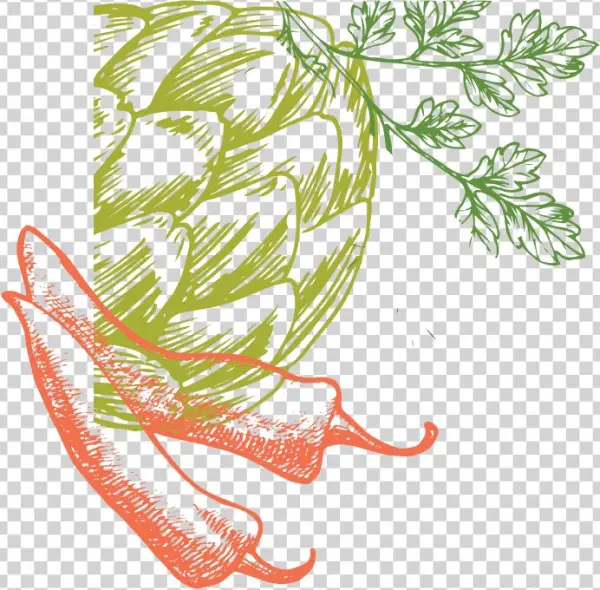 Past Winners - Organic Vegetables By Adehoidar - Customized Wallpaper