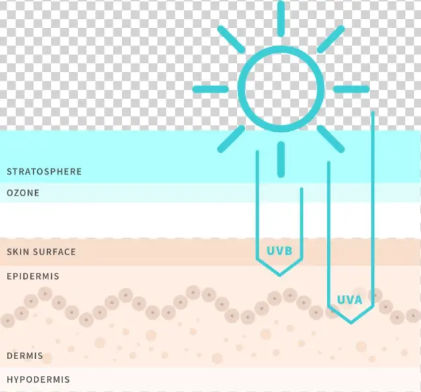 Sun Care Image - Simple Sun Vector