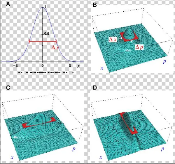 The Heisenberg Uncertainty Relation - Uncertainty Principle