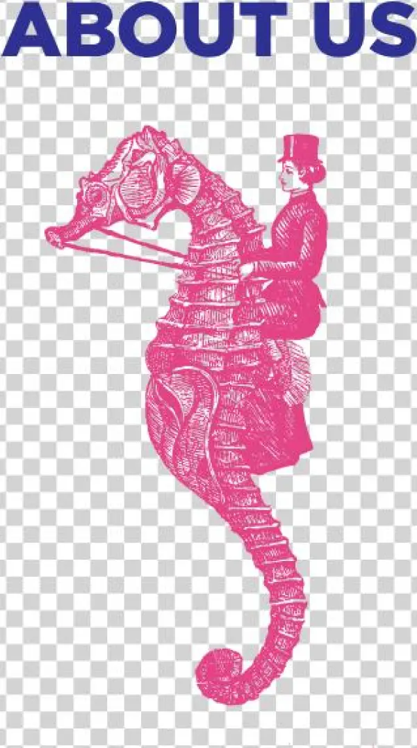 The Pelican Has Long Been A Symbol That Holds Great - Northern Seahorse