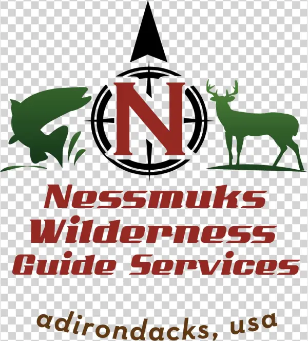 Wilderness Guides Marlborough Sounds