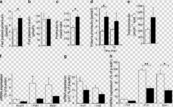 Analysis Of Insulin Processing In Znt8bko And Control - Proinsulin