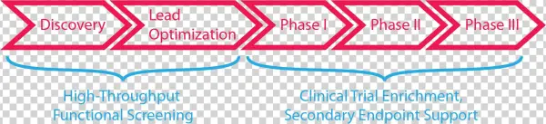 Applications - Application Software