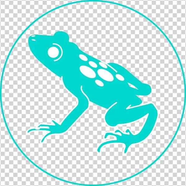 Blue Poison Frog - Phyllobates