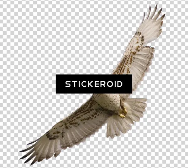 Фалкон Falcon - Hawk