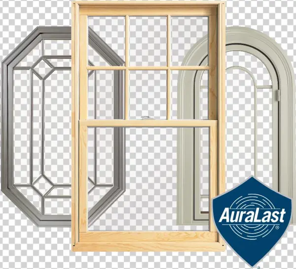 Limited Lifetime - Plywood