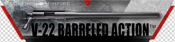 More Information - Action