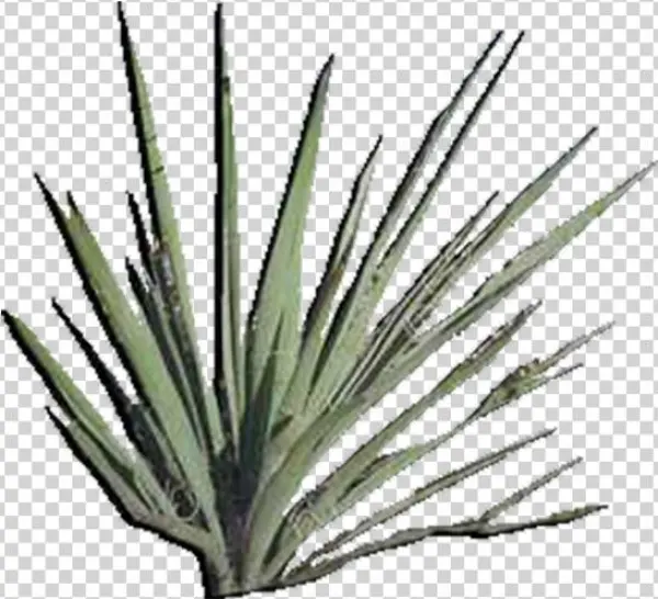 View In My Picture - Product