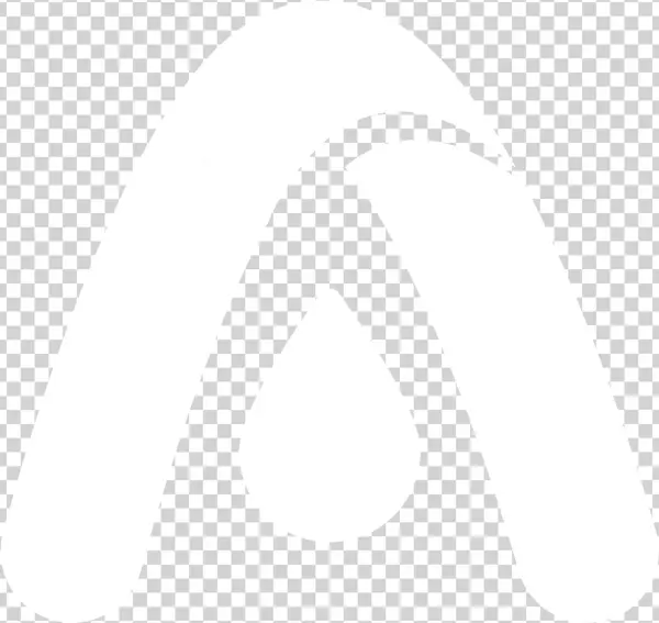 Aladyr Members - Illustration