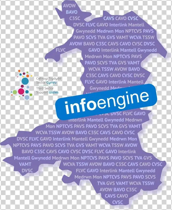 Infoengine Is Provided By Third Sector Support Wales, - Parallel