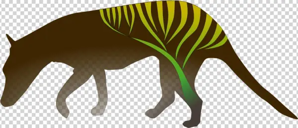 Michael Charleston And The Rest Of The Theoretical - Kangaroo