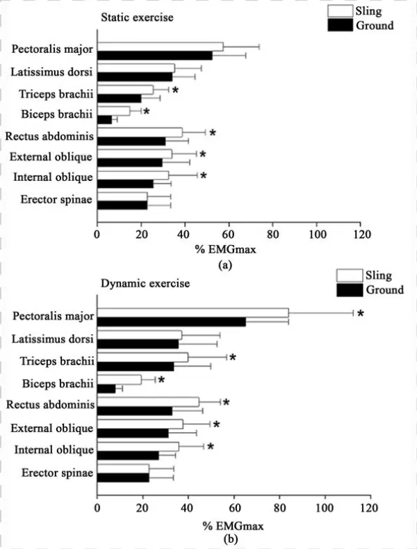 Comparison Of The Muscular Activity Levels During The