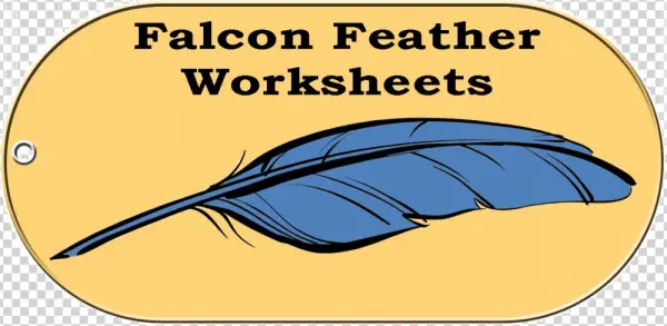 Falcon Feather Website - Littleton