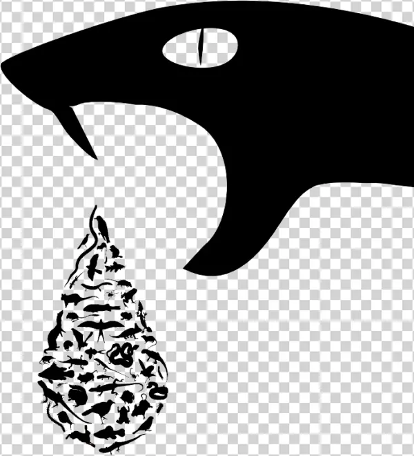 Research - Ecology And Evolution