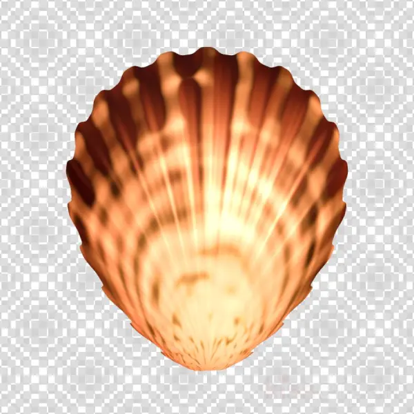 Seashells Png Clipart Cockle Seashell - Portable Network Graphics