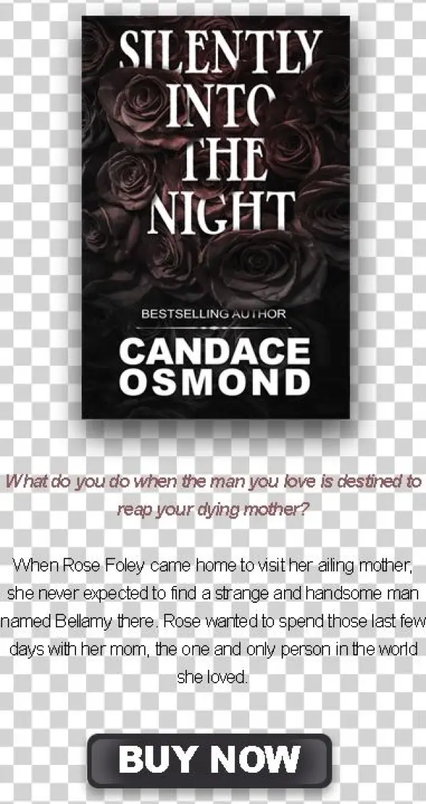 Sitn Write Up - Silently Into The Night Ebook